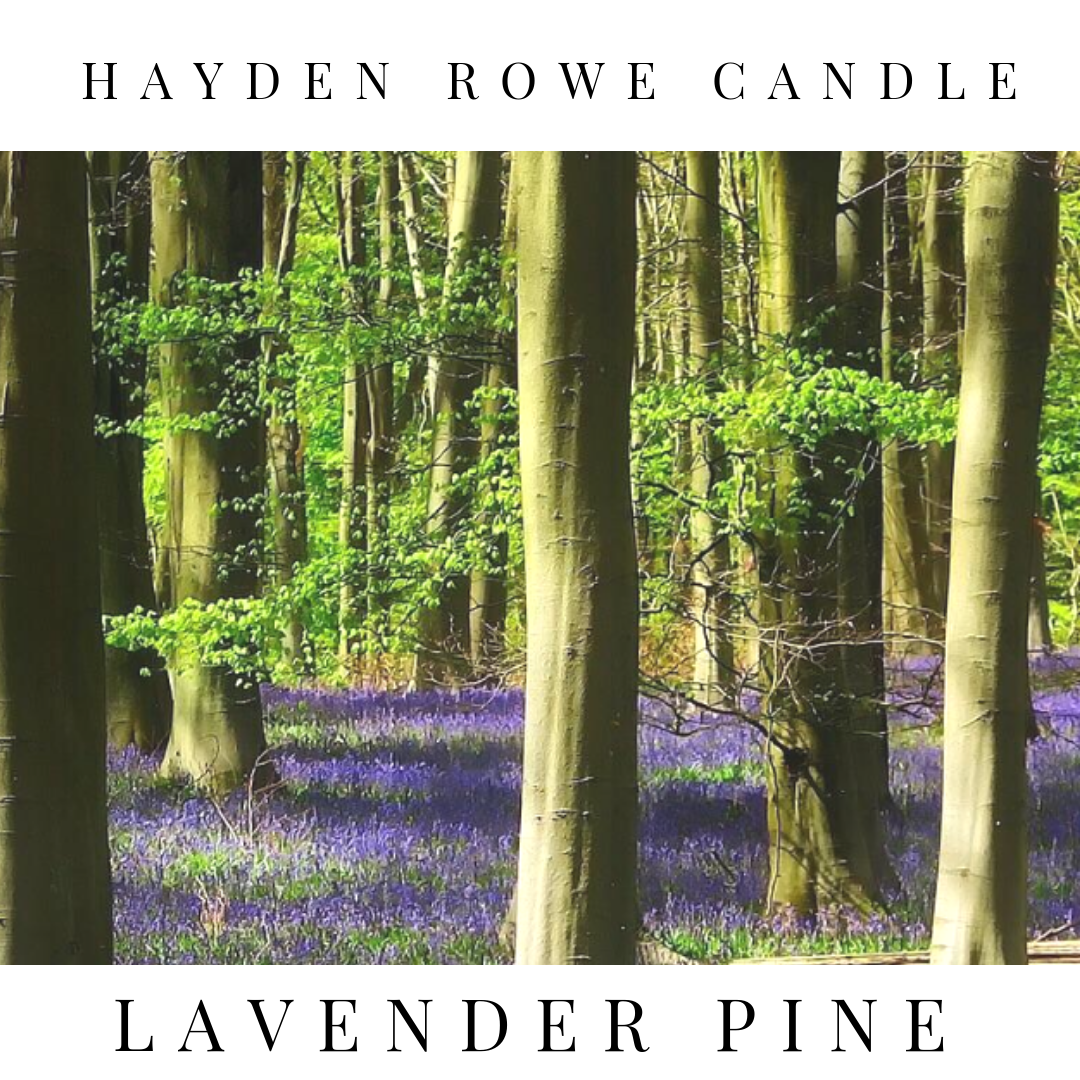 Lavender Pine Soy Candle, 7oz