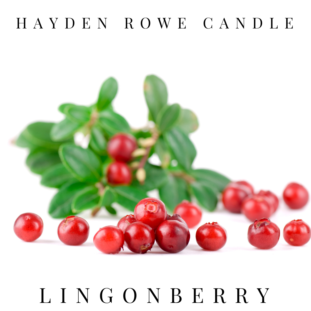Lingonberry Scented Wax