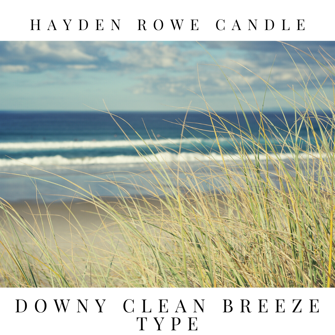 Downy Clean Breeze Scented Wax