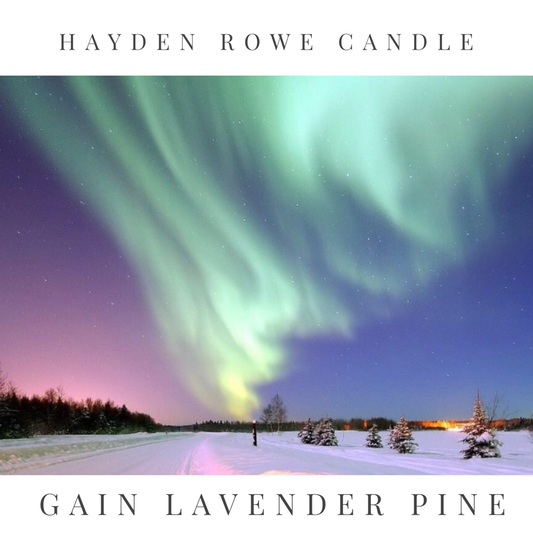 Gain Lavender Pine Scented Wax